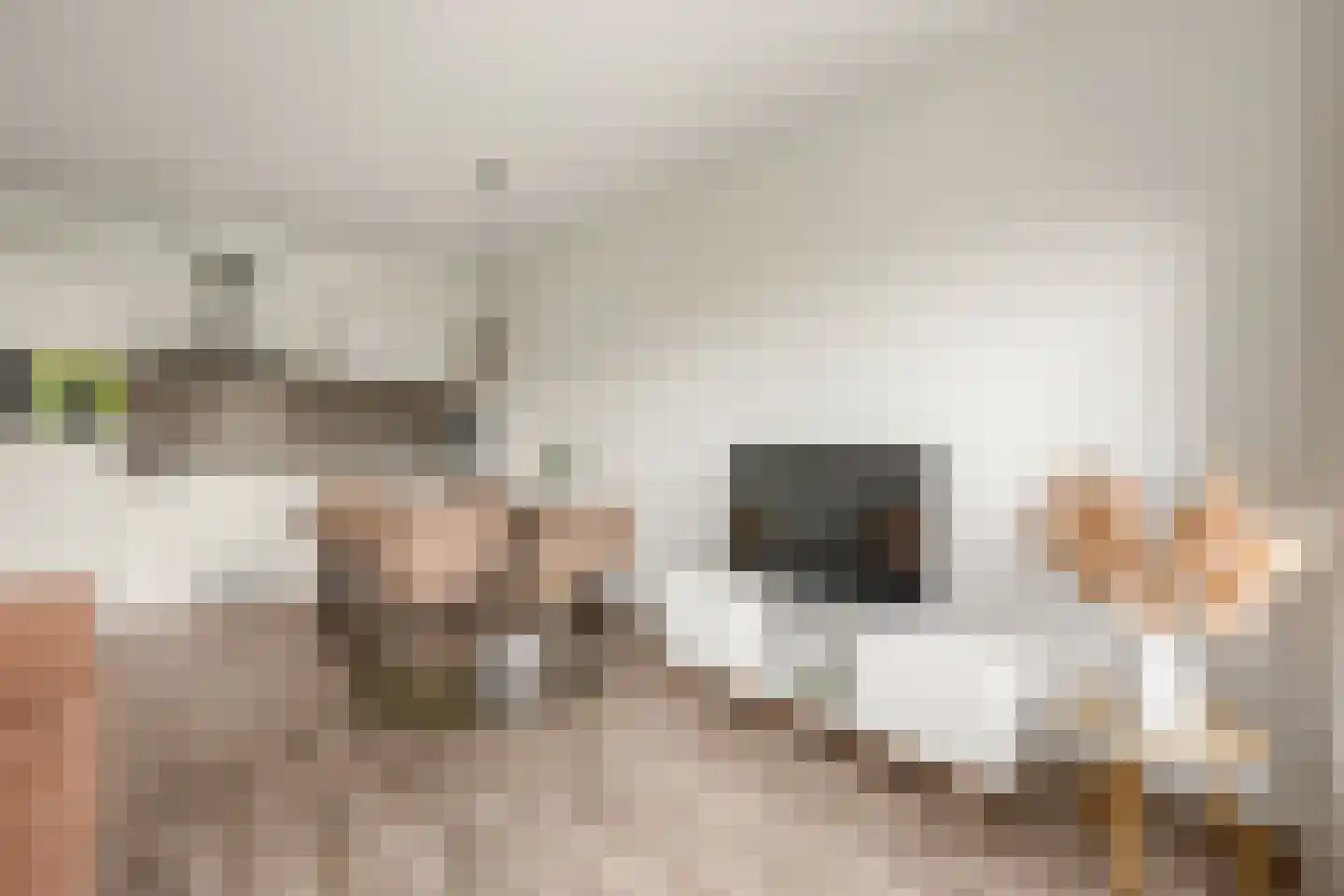 Krijtwal 33 30 Nieuwegein thumbnail 17