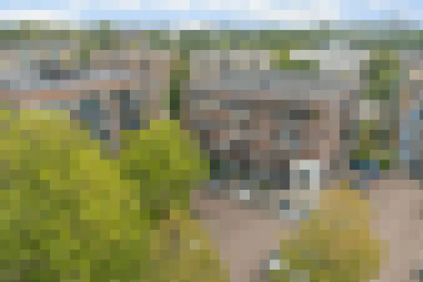 Krijtwal 33 30 Nieuwegein thumbnail 23