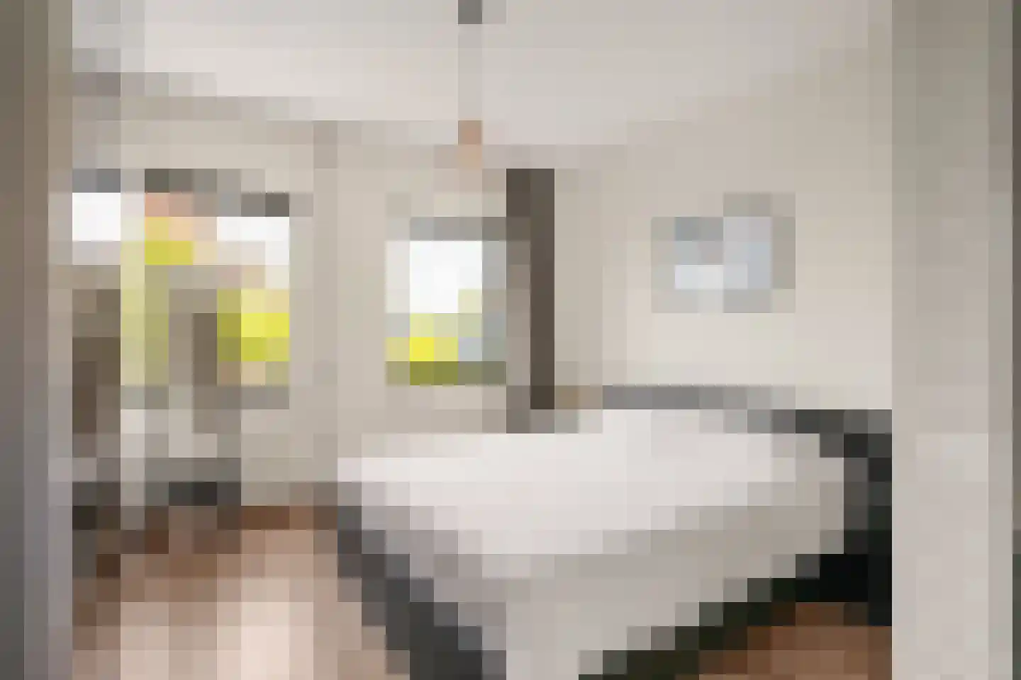 Krijtwal 33 30 Nieuwegein thumbnail 6