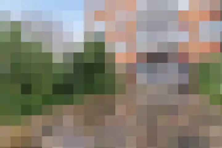 Krijtwal 49 Nieuwegein thumbnail 21