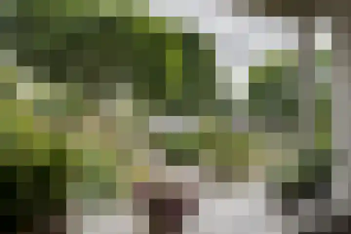 Krimkade 13 Voorschoten thumbnail 12
