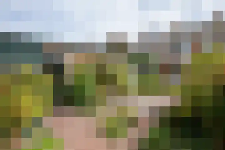 Krimkade 13 Voorschoten thumbnail 20
