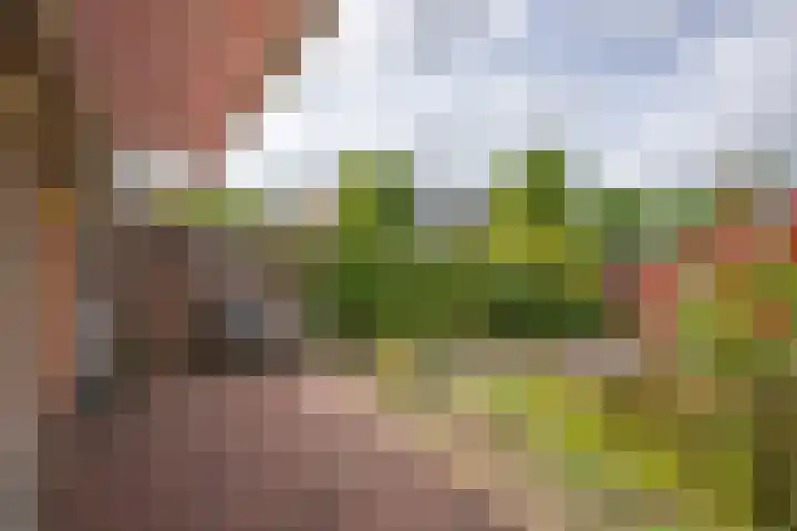 Krimkade 13 Voorschoten thumbnail 22
