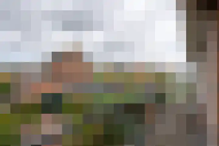 Krimkade 13 Voorschoten thumbnail 30