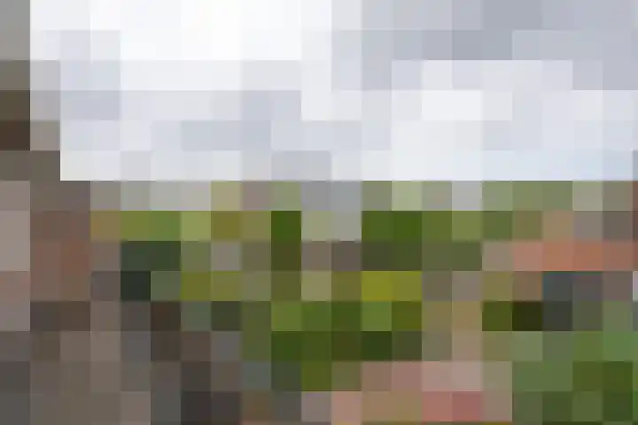 Krimkade 13 Voorschoten thumbnail 31