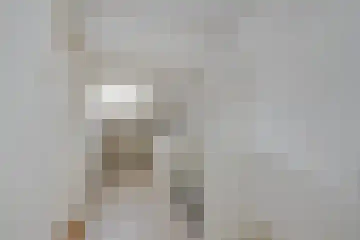 Krimkade 13 Voorschoten thumbnail 34