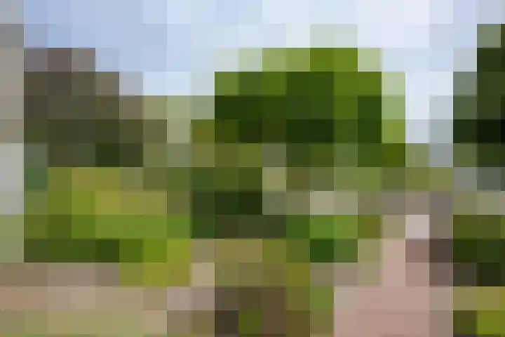 Krimkade 13 Voorschoten thumbnail 38