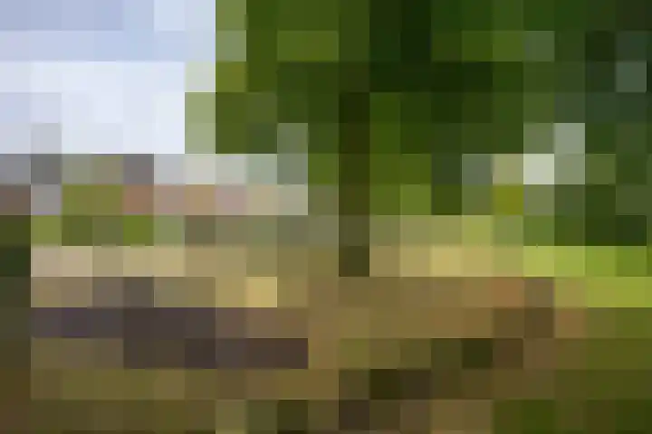 Krimkade 13 Voorschoten thumbnail 39