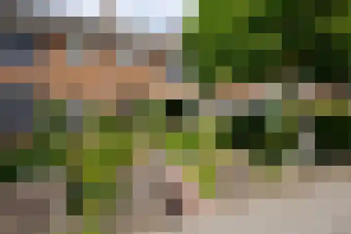 Krimkade 13 Voorschoten thumbnail 4
