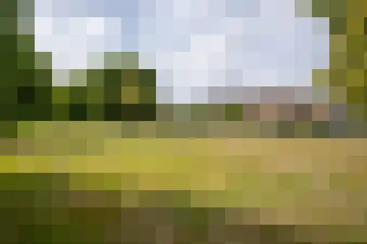 Krimkade 13 Voorschoten thumbnail 40