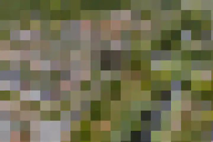 Krimkade 13 Voorschoten thumbnail 43