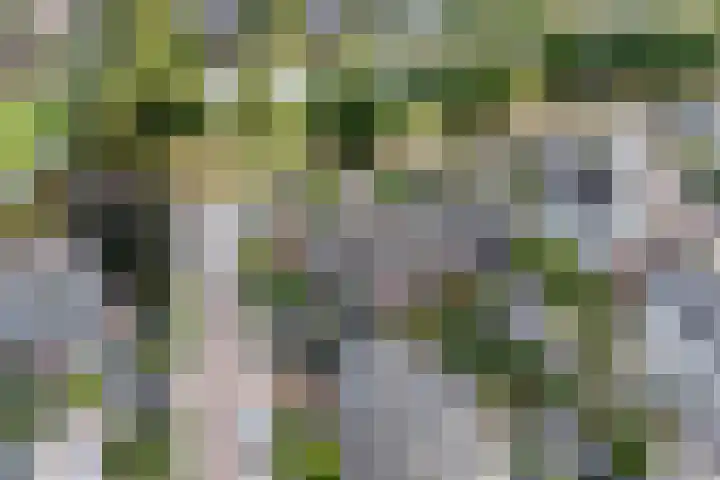 Krimkade 13 Voorschoten thumbnail 45