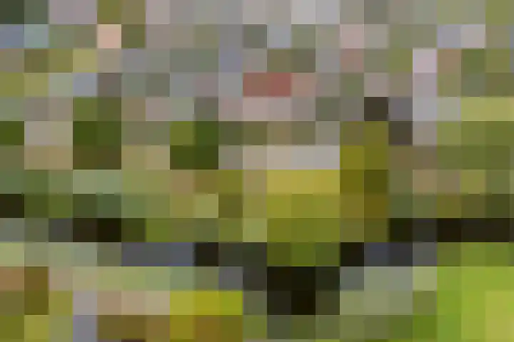 Krimkade 13 Voorschoten thumbnail 46