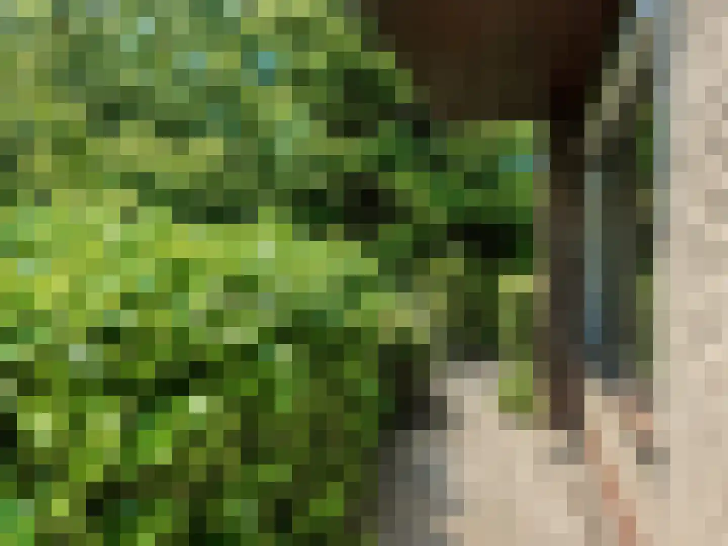 Krimkade 2 d Voorschoten thumbnail 29