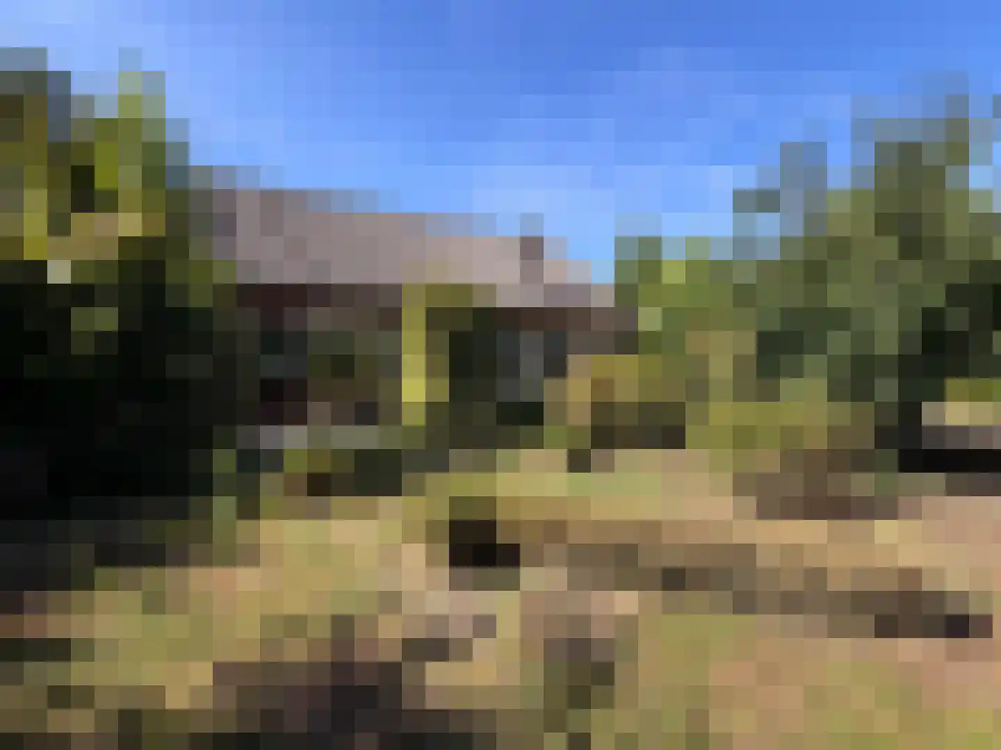 Krimkade 2 d Voorschoten thumbnail 31