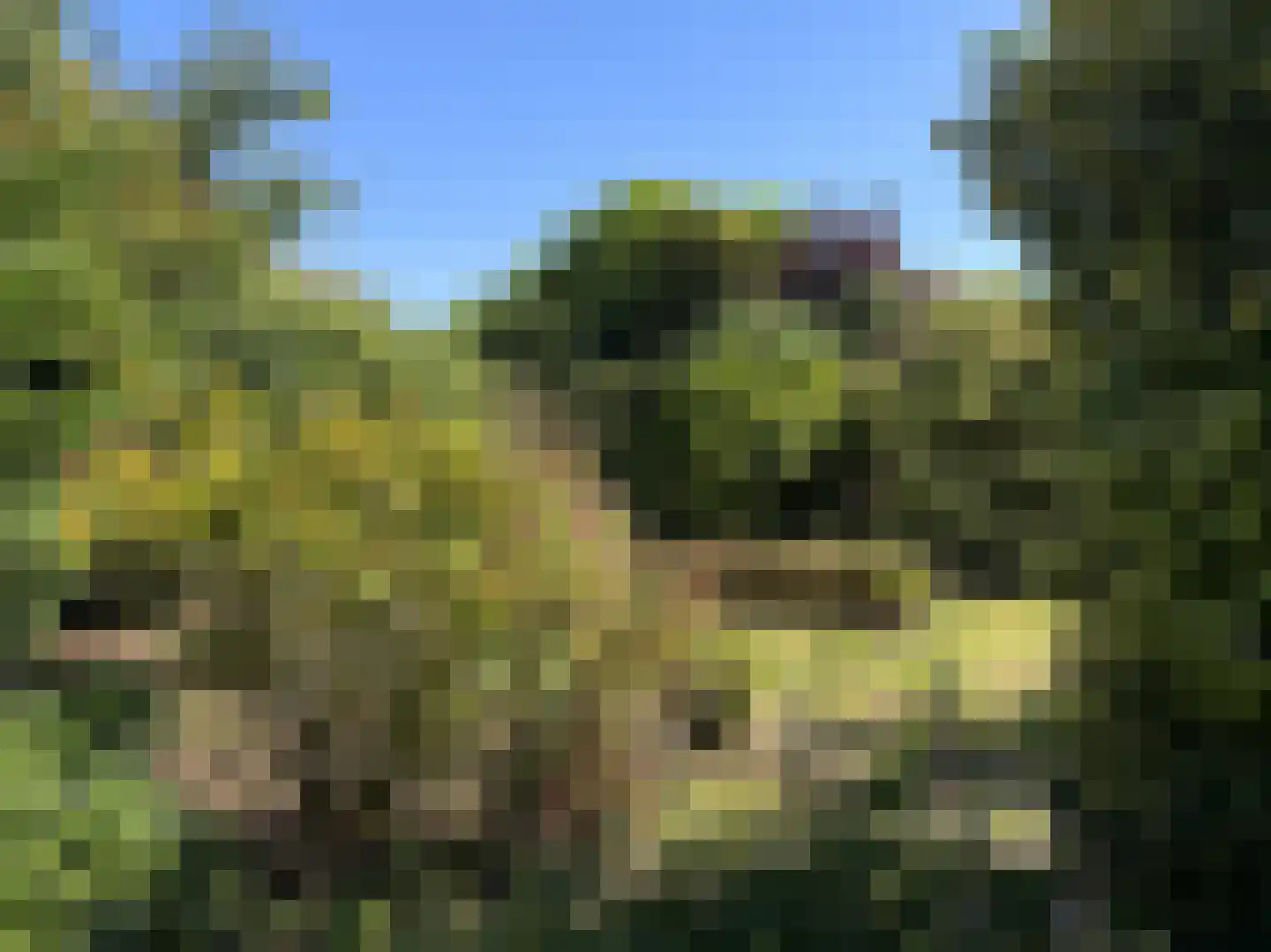 Krimkade 2 d Voorschoten thumbnail 33