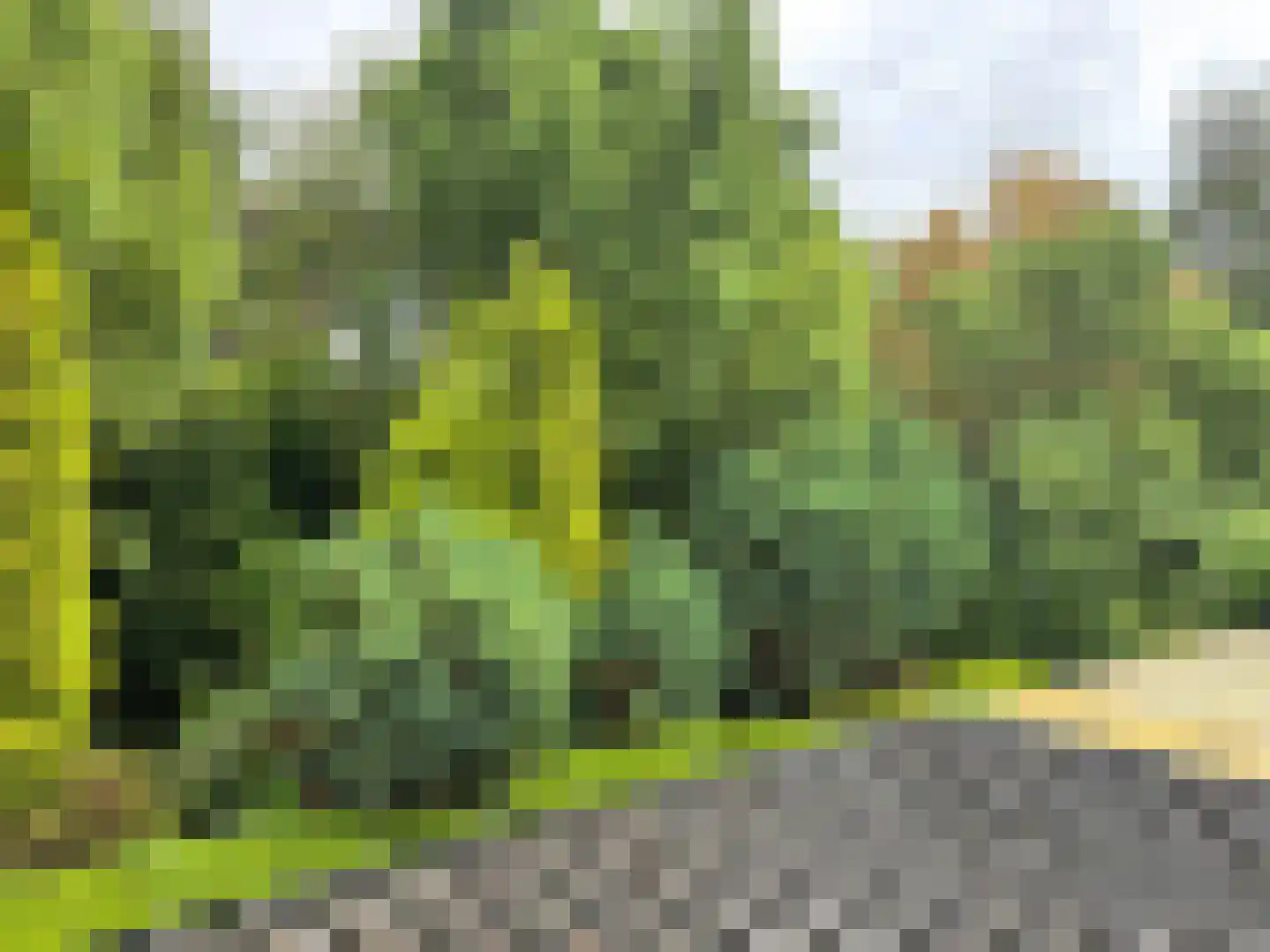 Krimkade 2 d Voorschoten thumbnail 35