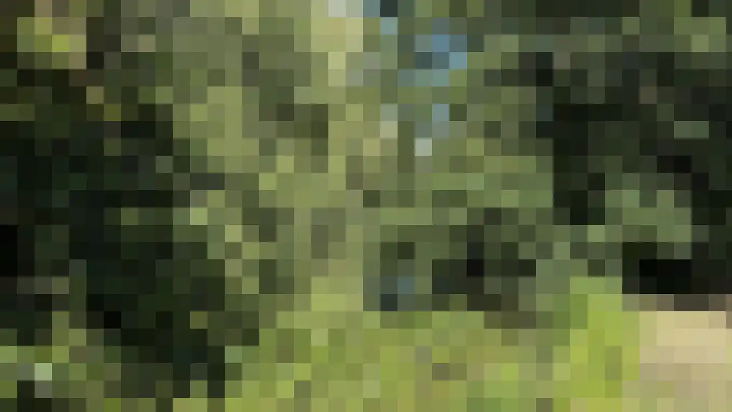 Krimkade 2 d Voorschoten thumbnail 36