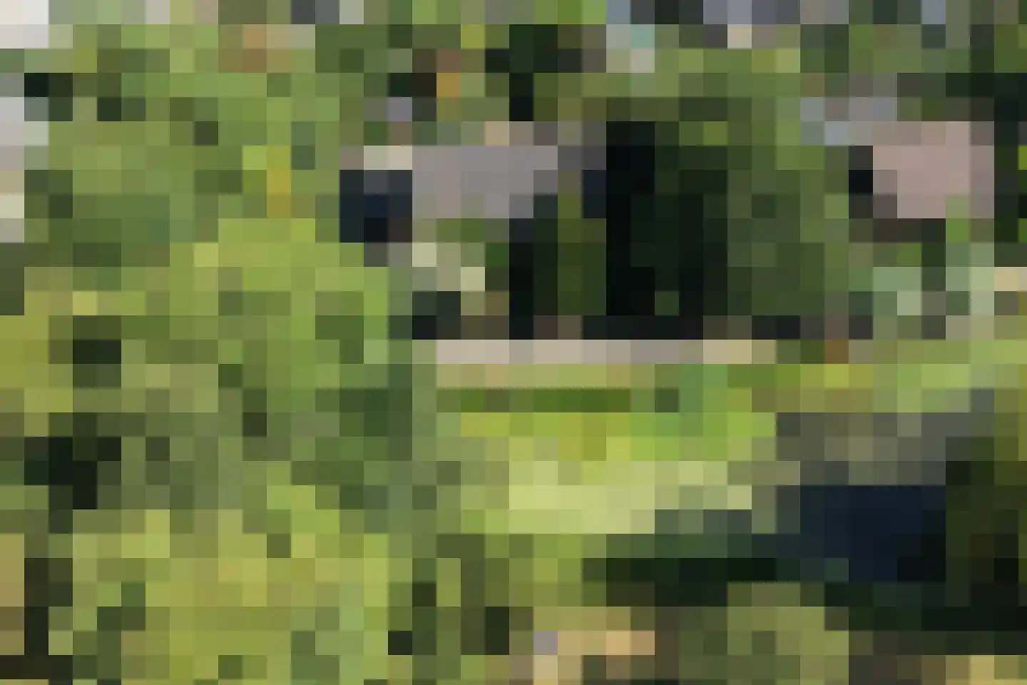 Krimkade 2 d Voorschoten thumbnail 39