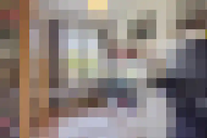 Krimkade 75 Voorschoten thumbnail 15