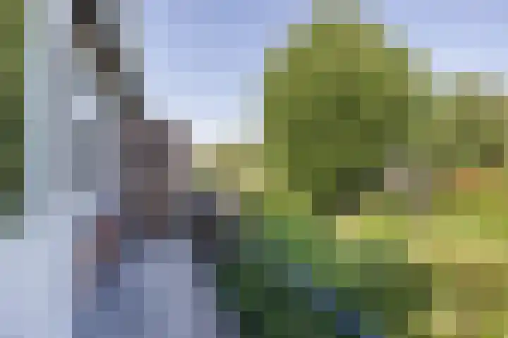 Krimkade 75 Voorschoten thumbnail 28