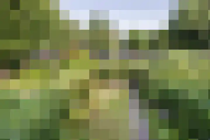 Krimkade 75 Voorschoten thumbnail 29