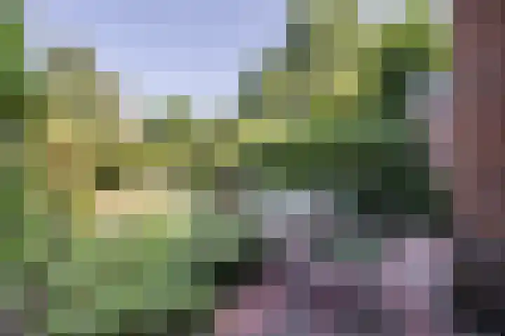 Krimkade 75 Voorschoten thumbnail 30