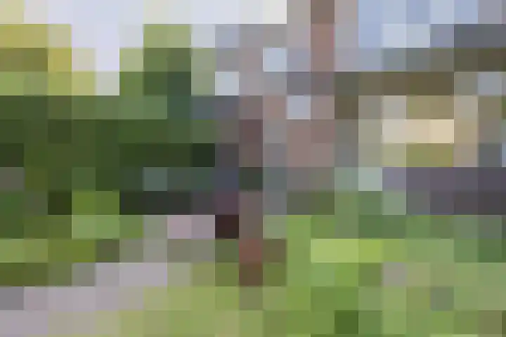 Krimkade 75 Voorschoten thumbnail 31