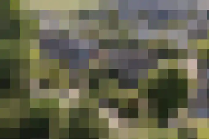 Krimkade 75 Voorschoten thumbnail 35