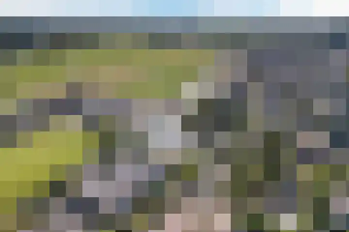 Krimkade 75 Voorschoten thumbnail 37