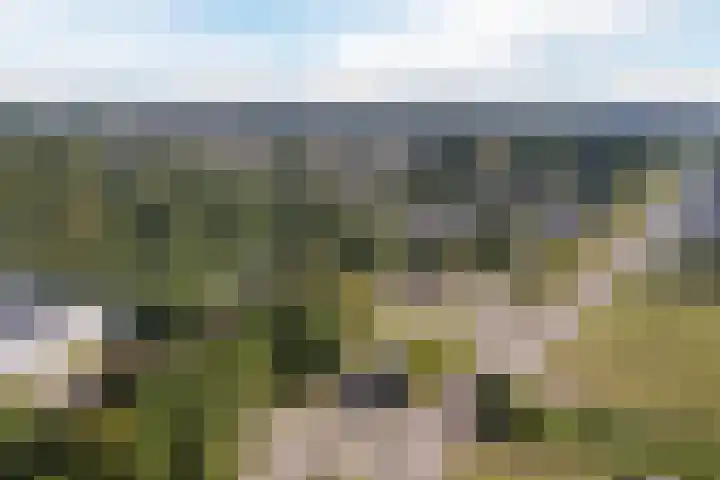 Krimkade 75 Voorschoten thumbnail 38