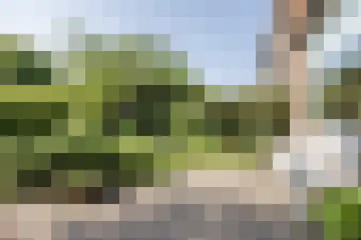 Krimkade 75 Voorschoten thumbnail 5