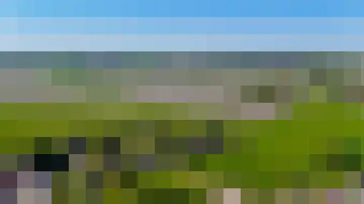 Krimpenwei 16 Blije thumbnail 29