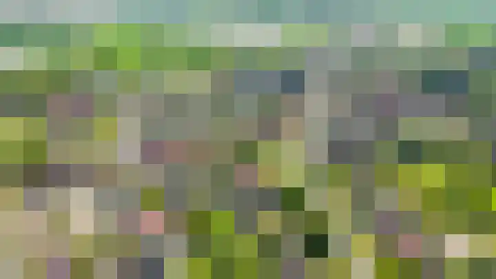 Krimpenwei 16 Blije thumbnail 32