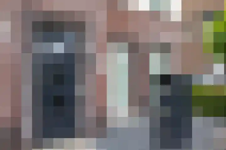Krimpenwei 2 Blije foto 2