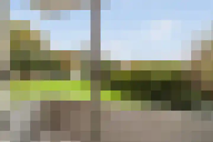 Krimpenwei 2 Blije thumbnail 30