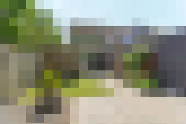 Krimpenwei 2 Blije thumbnail 38