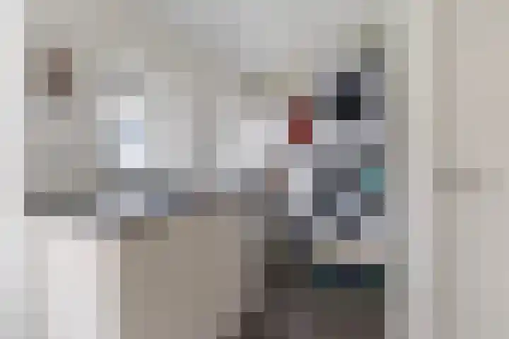 Krimpenwei 24 Blije thumbnail 20
