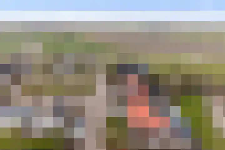 Krimpenwei 24 Blije thumbnail 41