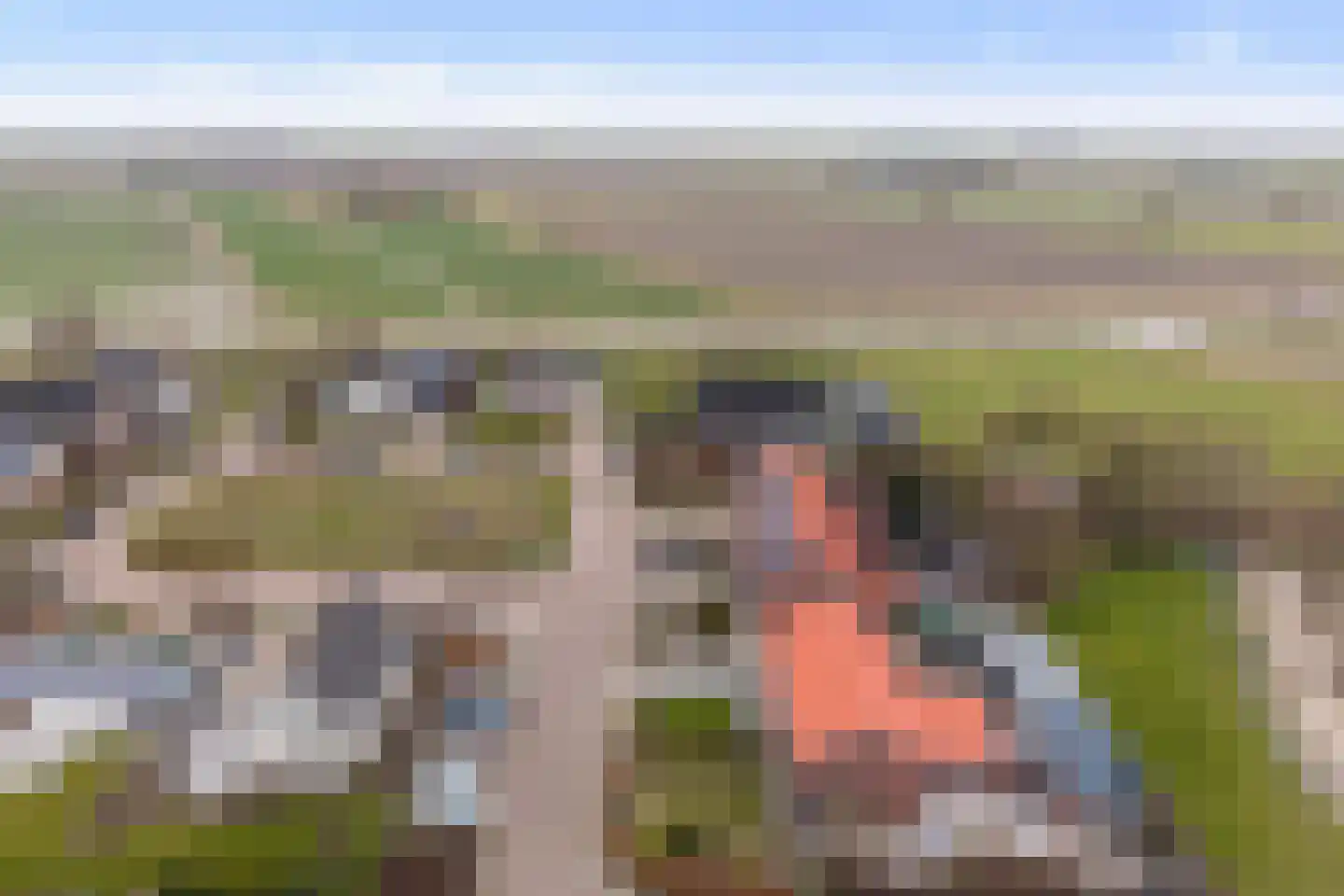 Krimpenwei 24 Blije thumbnail 41