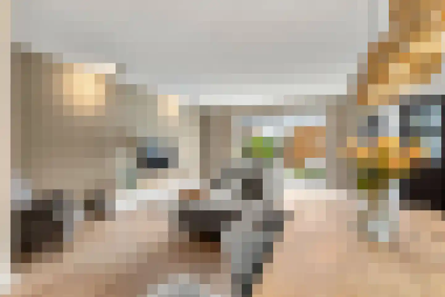 Krimperij 12 Ede thumbnail 14