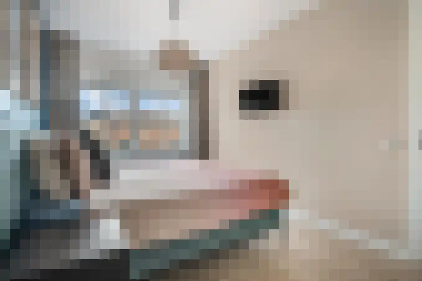 Krimperij 8 Ede thumbnail 18