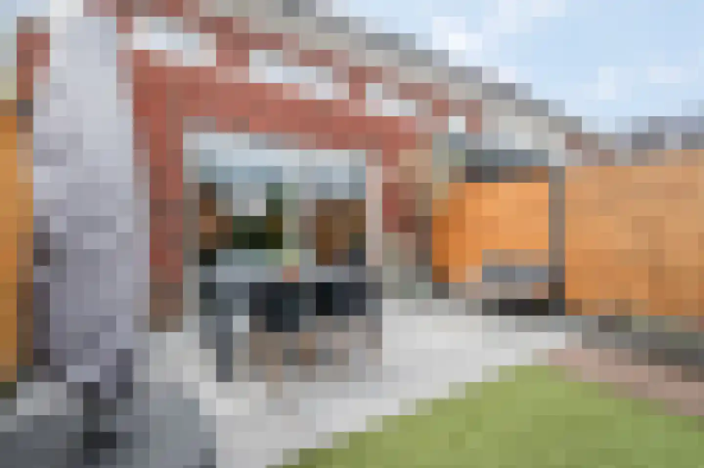 Krimperij 8 Ede thumbnail 38