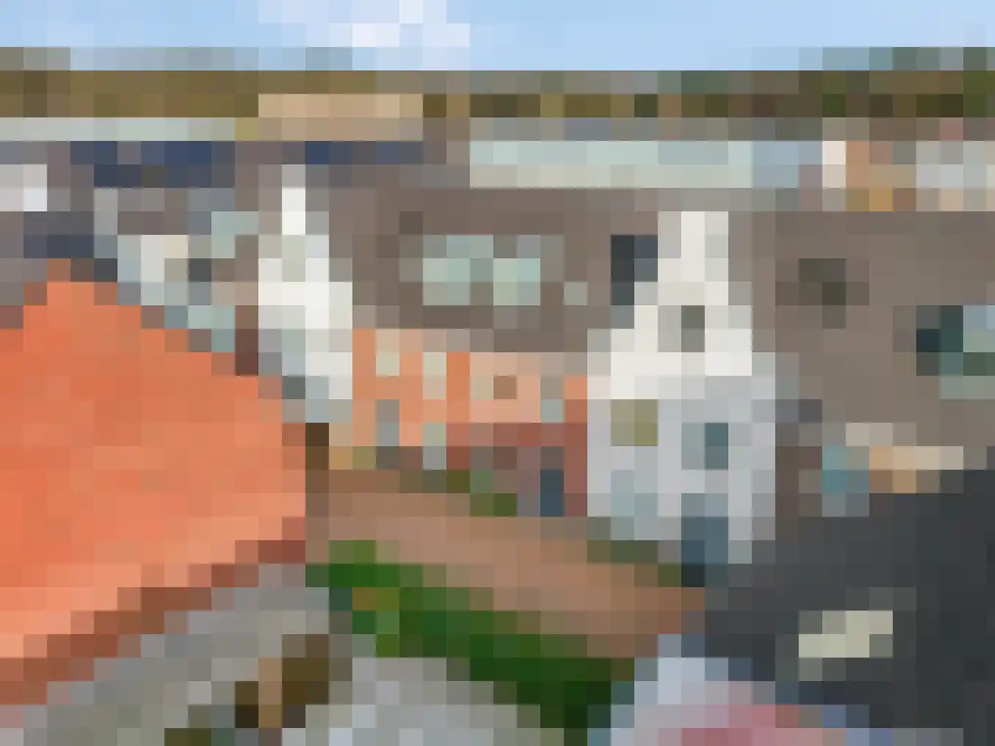 Krimperij 8 Ede thumbnail 46