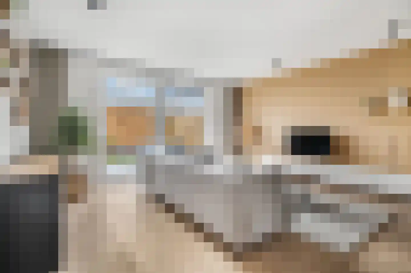 Krimperij 8 Ede thumbnail 5