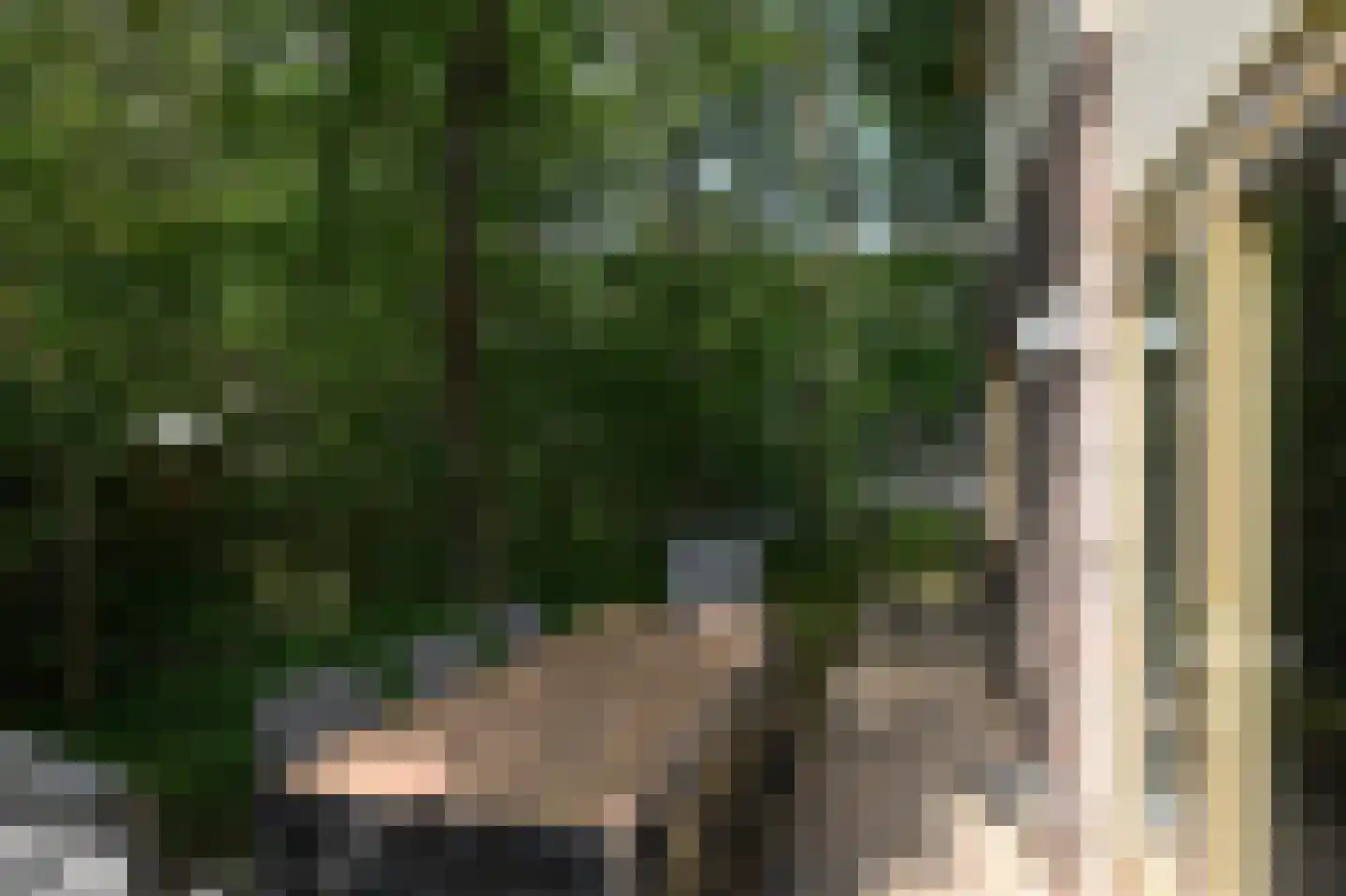 Krimweg 140 114 Hoenderloo thumbnail 24