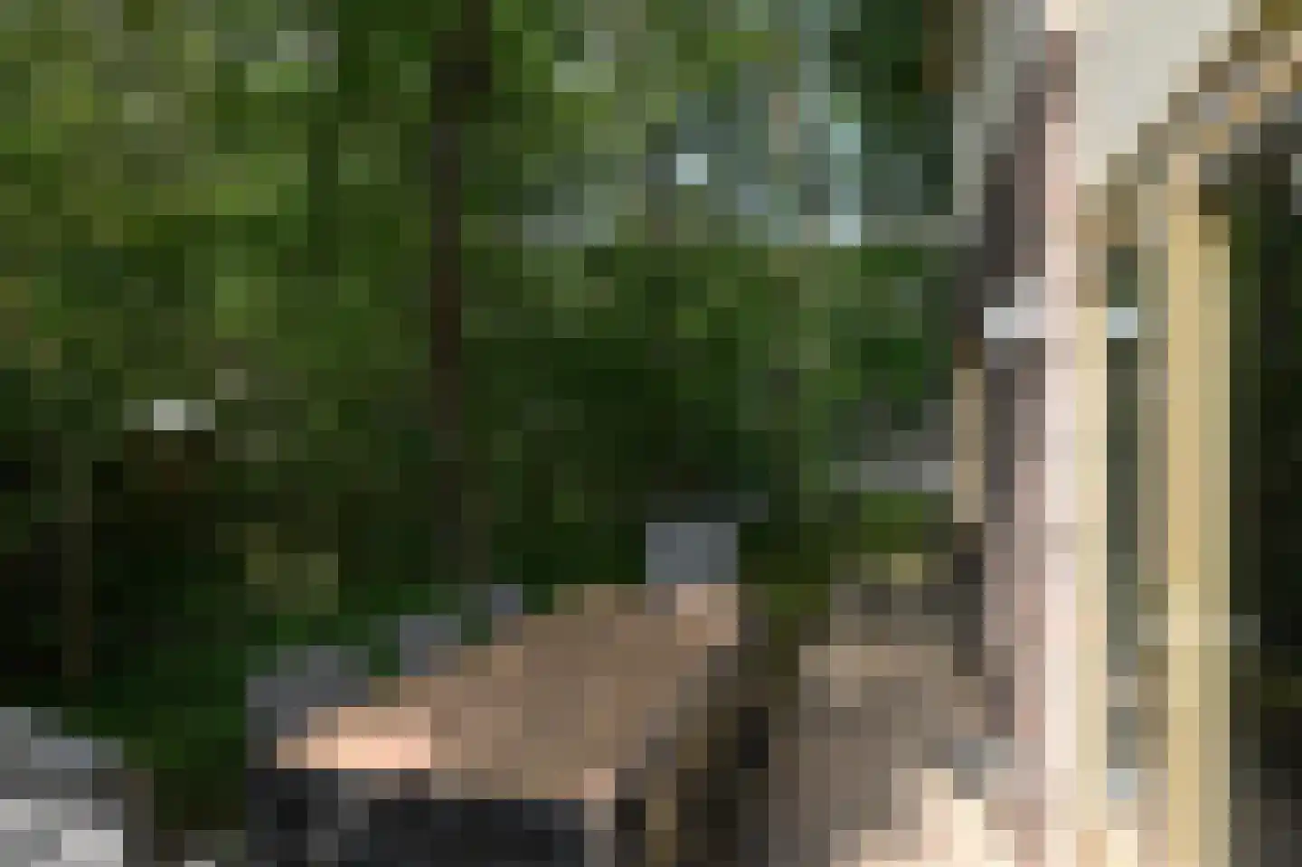 Krimweg 140 114 Hoenderloo thumbnail 24