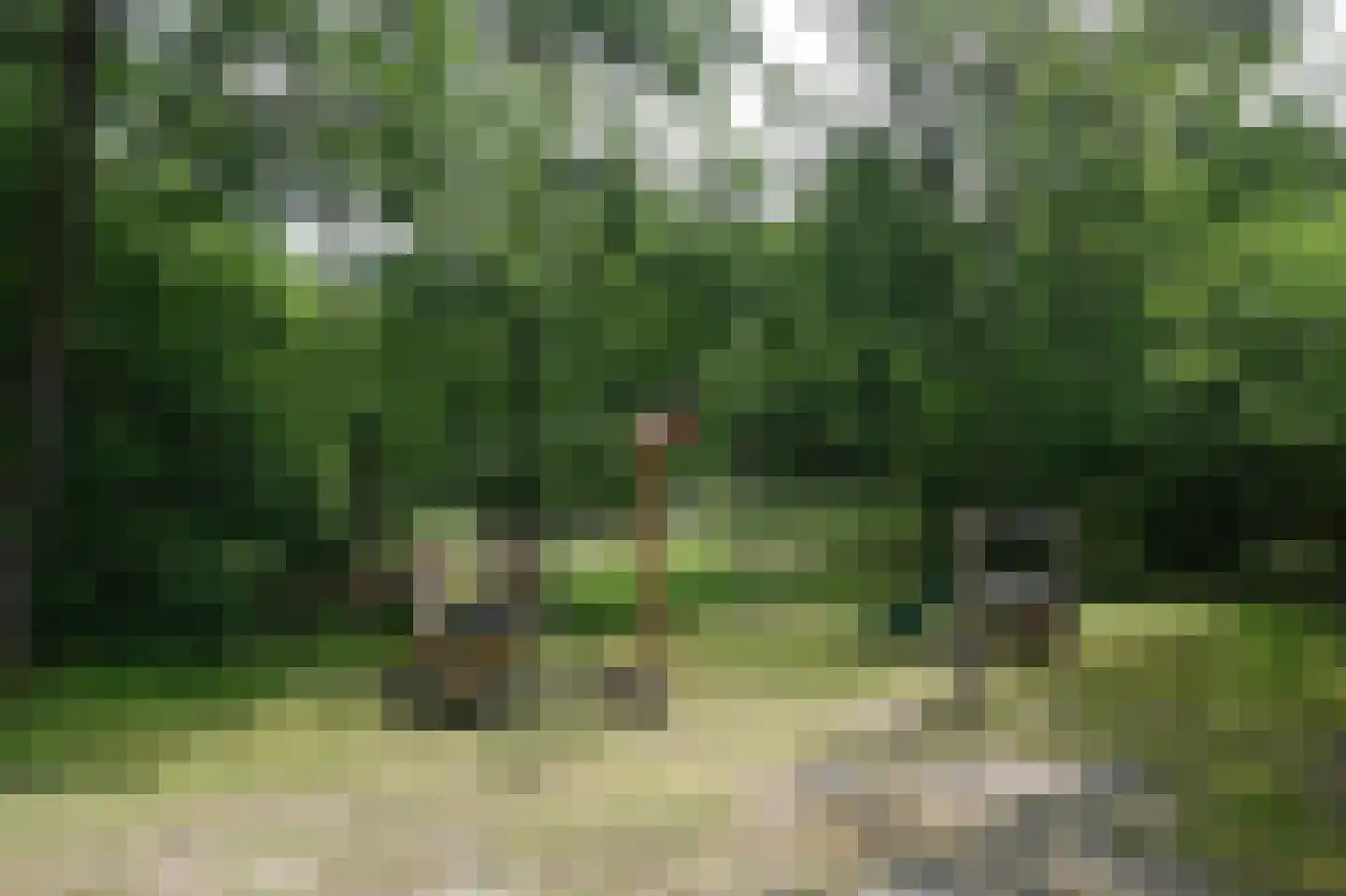Krimweg 140 114 Hoenderloo thumbnail 33