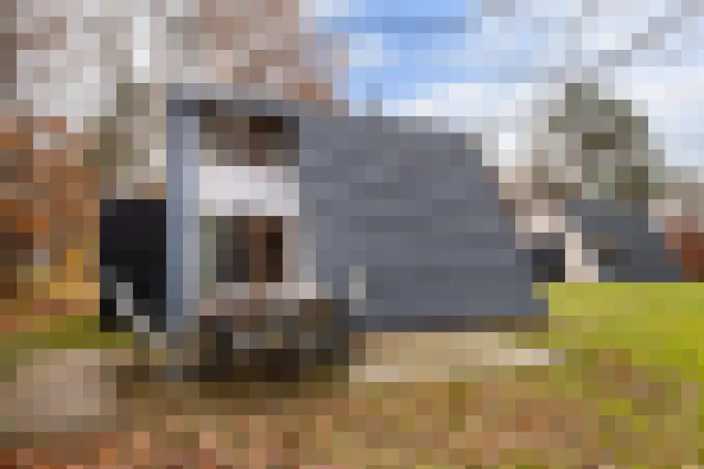 Krimweg 140 A 16 Hoenderloo thumbnail 21