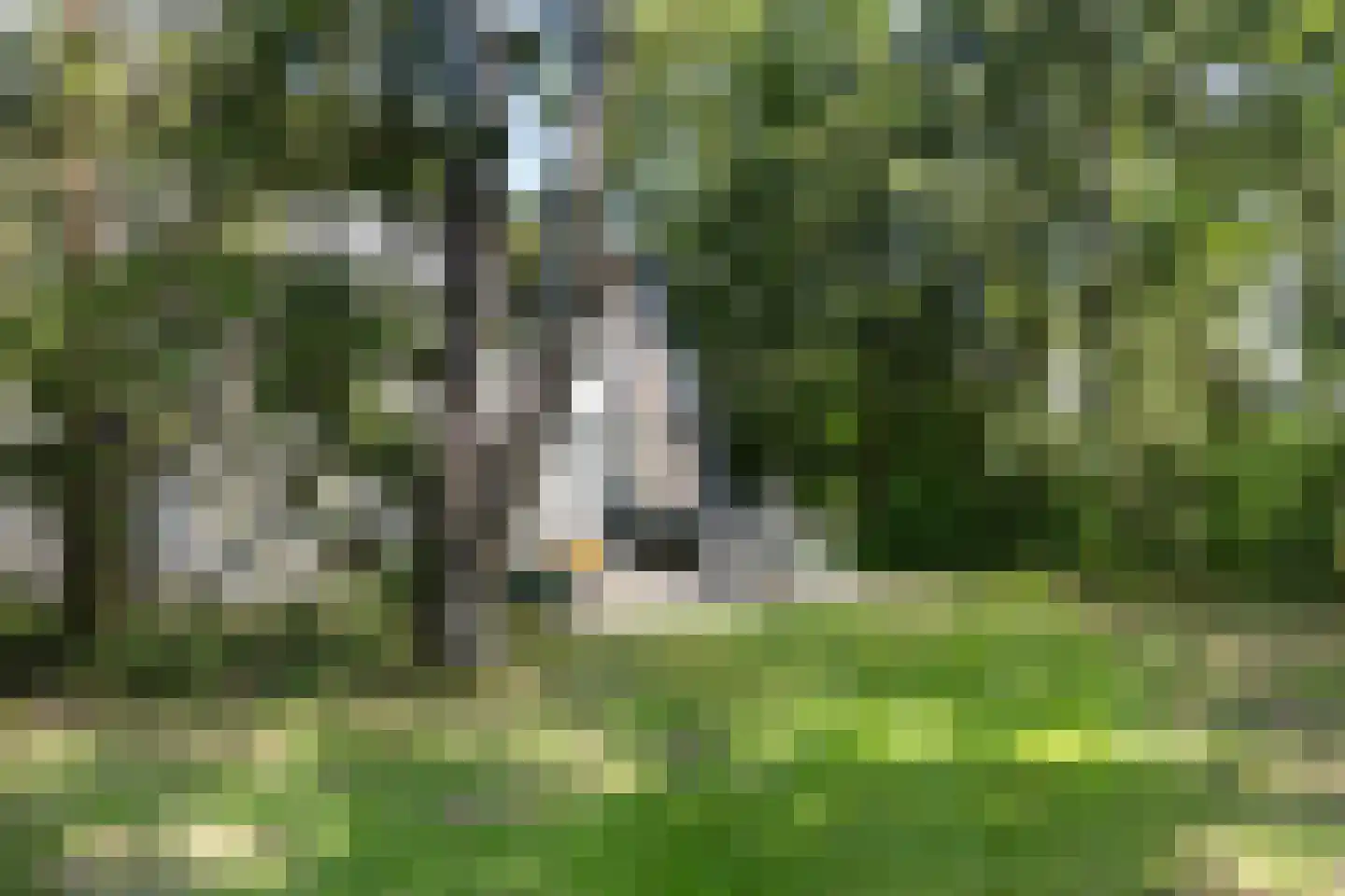 Krimweg 140 A 28 Hoenderloo thumbnail 19